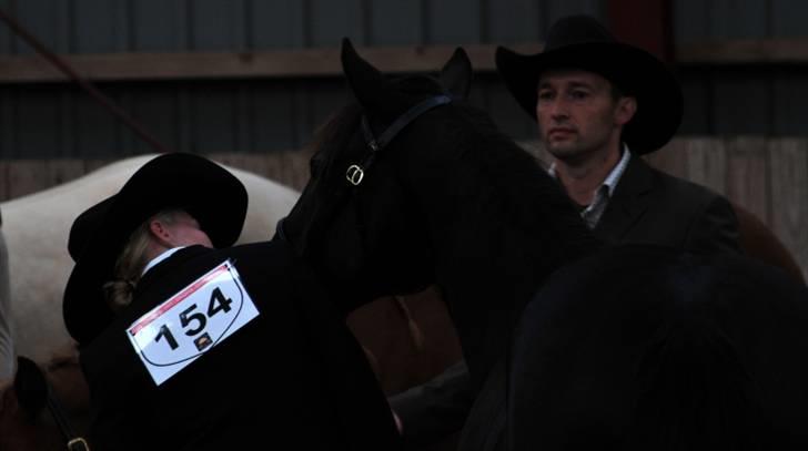 Quarter BB's Black Hot Filly billede 13