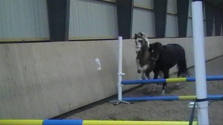 Anden særlig race mickey billede 17