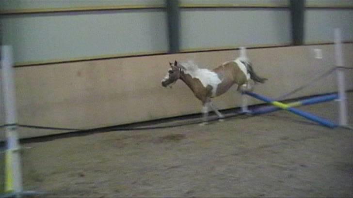 Anden særlig race mickey billede 19