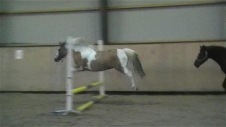 Anden særlig race mickey billede 20