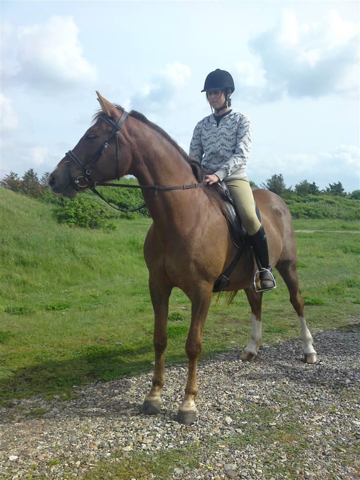 Anden særlig race Kiaya - Jessica og pigen ved Nymølle strand.... billede 13