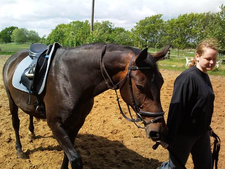 Anden særlig race bianca (R.I.P. I Love Y) - Nu er Bianca kommet i fin form og blevet lidt tyk. :) Tihi billede 5
