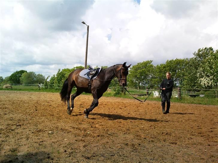 Anden særlig race bianca (R.I.P. I Love Y) - hun går så godt. super fedt. billede 6