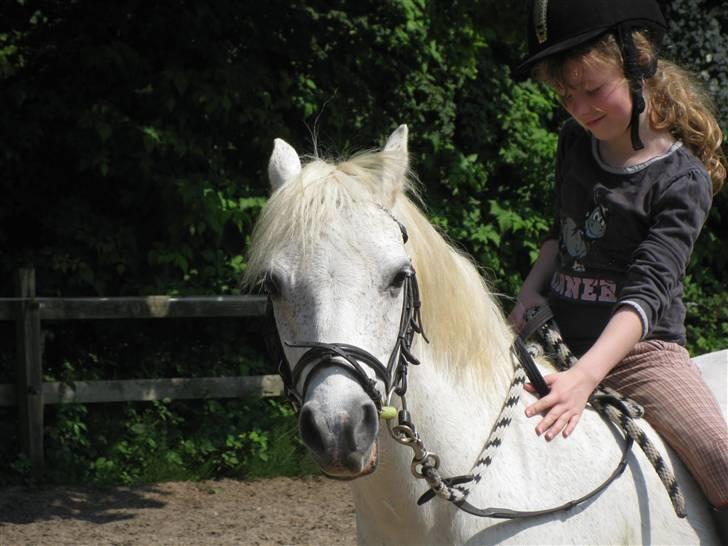 Anden særlig race Silver-Star **HAR LÅNT** - Lena og Silver skridtede af uden sadel..... billede 3