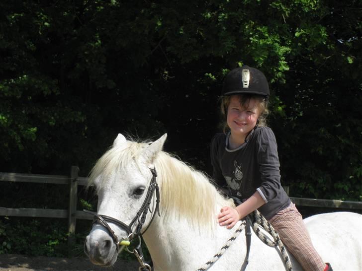 Anden særlig race Silver-Star **HAR LÅNT** billede 5