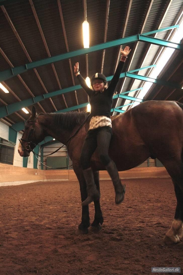 Anden særlig race Buzzio (udtales Bosjo) - og ned, kig ikke på ansigtet men der er altså langt ned - foto: Gulerod / louise pilgaard billede 18