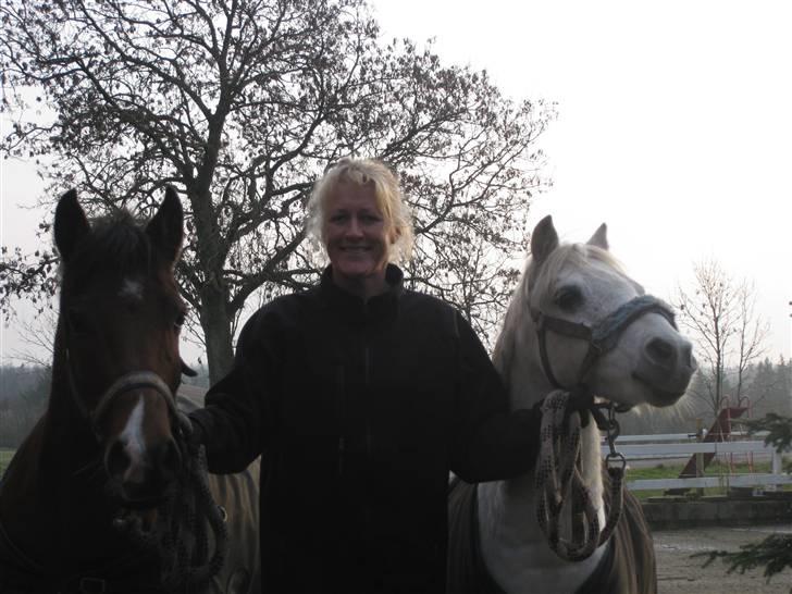 Anden særlig race Silver-Star **HAR LÅNT** - På vej ind fra fold med min mor og Flicka - de ser så søde ud ;)  billede 13