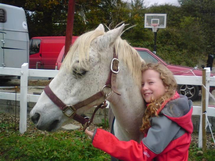 Anden særlig race Silver-Star **HAR LÅNT** - "Du er den bedste Silver" billede 14