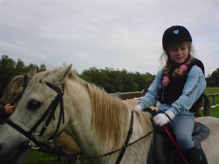 Anden særlig race Silver-Star **HAR LÅNT** - Efter spring -lidt gammelt. billede 15