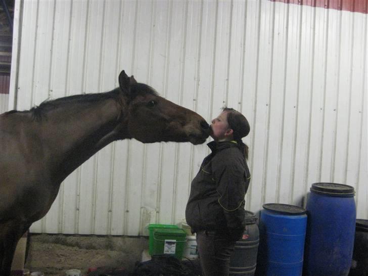 Anden særlig race Robin-Rider den ikke mere billede 5