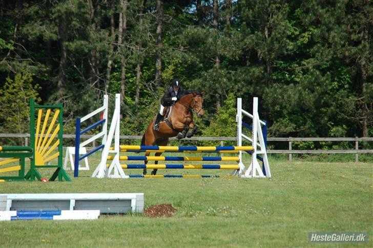 Anden særlig race Robin-Rider den ikke mere billede 6