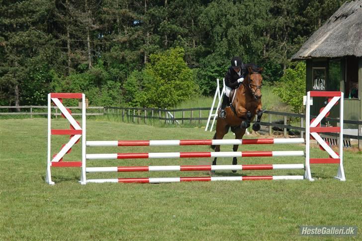 Anden særlig race Robin-Rider den ikke mere billede 7