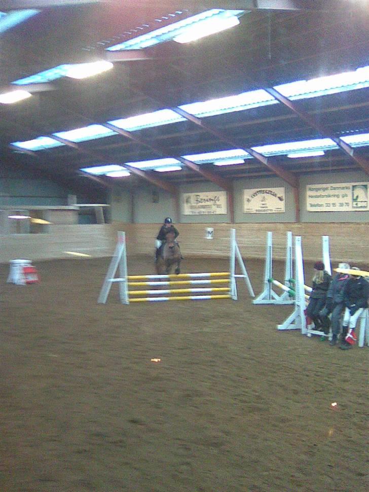 Anden særlig race Robin-Rider den ikke mere billede 8