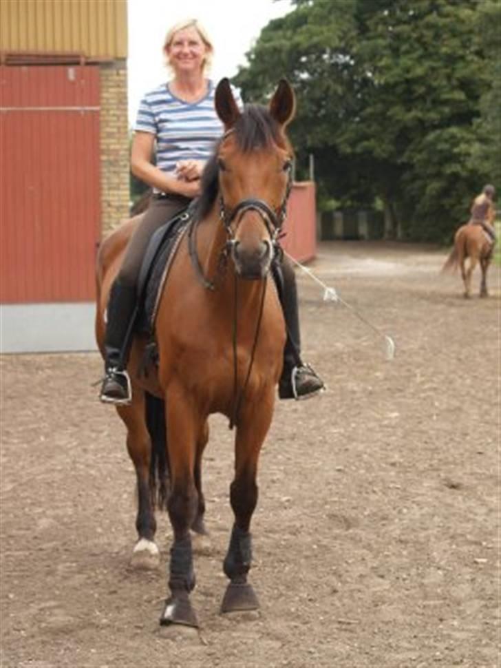 Dansk Varmblod Firell - solgt - Firell og Heidi efter træning sidste sommer billede 8