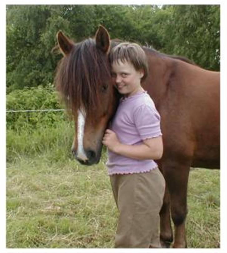 Anden særlig race Pedro billede 7