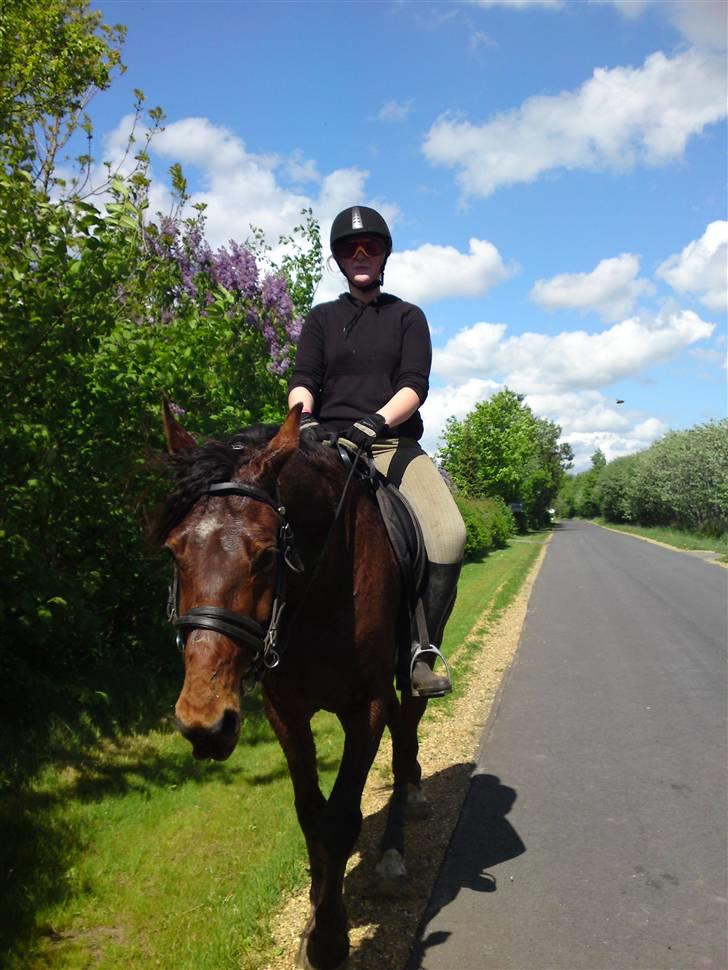 Traver Wondering - Træning i lidt varmere sommer-grader!!  billede 14