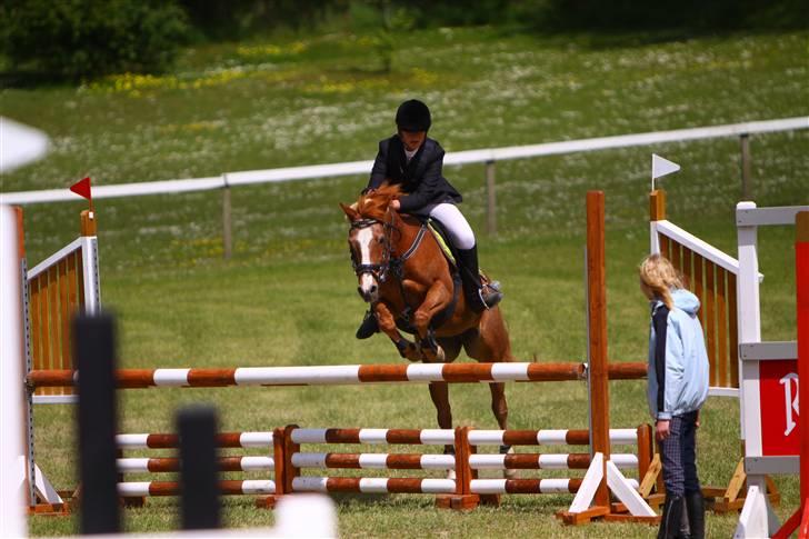 Hollandsk Sportspony caya - morsø 09 billede 16