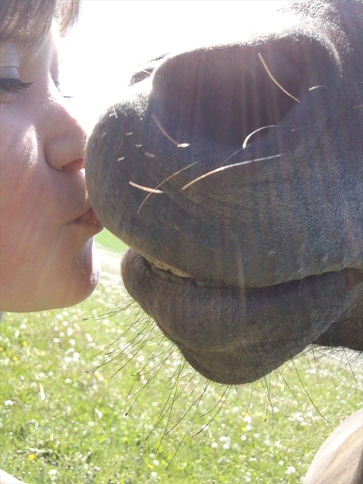 Anden særlig race Lawina - I LOVE YOU!! <3 :* billede 3