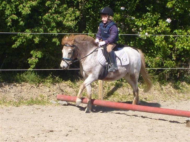 Anden særlig race | Victor. - Mie og Victor springer sommer 2009 billede 15