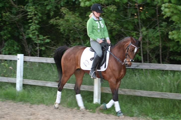 DSP Brunett ( L ) RIP! - Hun har en tildens til og gå under lod. billede 6