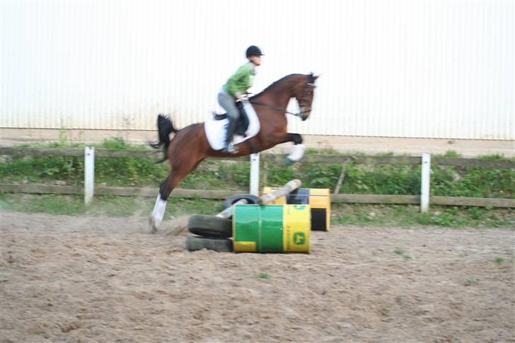 DSP Brunett ( L ) RIP! - En lille spring :) billede 7