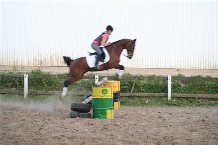 DSP Brunett ( L ) RIP! - Det samme her billede 8