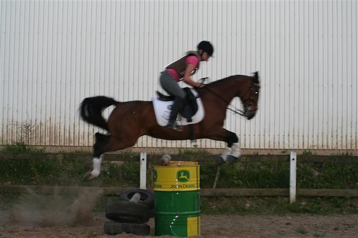 DSP Brunett ( L ) RIP! - Et større spring. billede 9