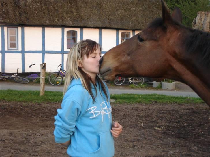 DSP Brunett ( L ) RIP! - Har lært hende og kysse på komando billede 11