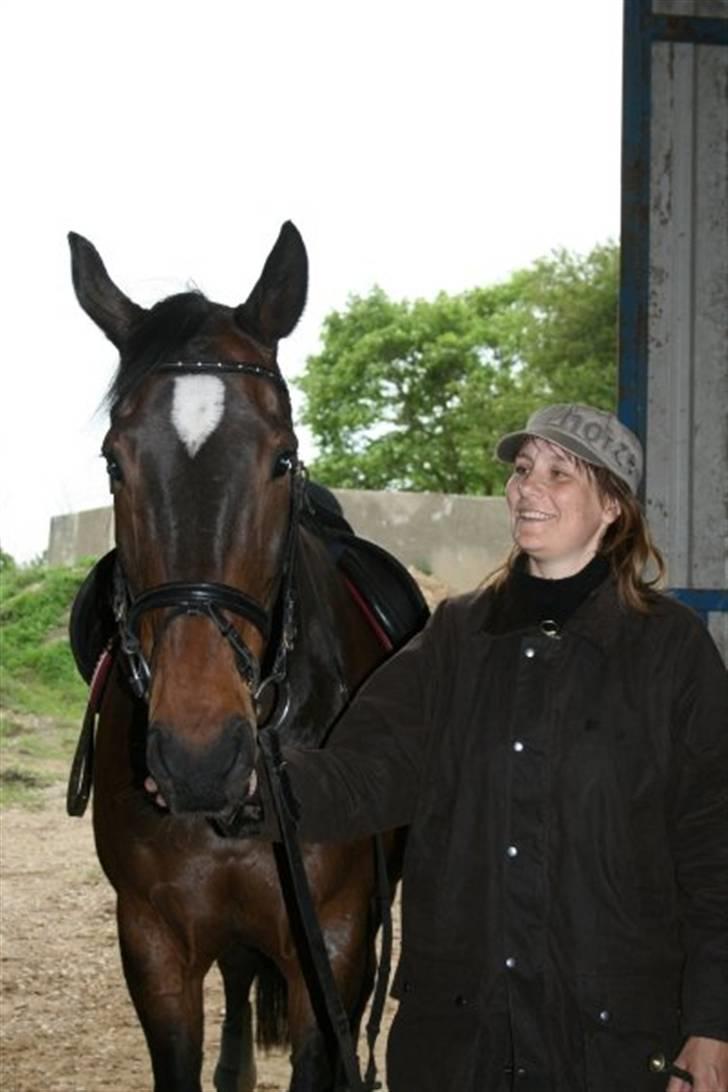 Hannoveraner Spencer R.I.P ): billede 9