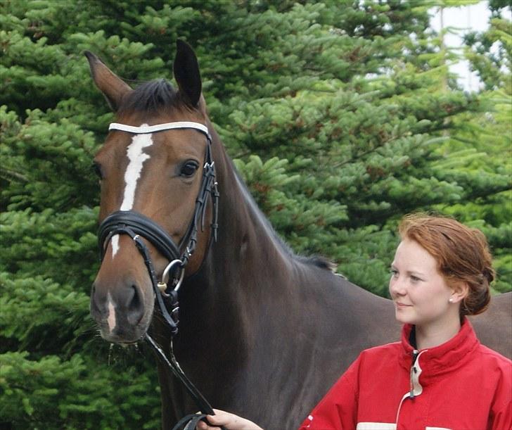 Dansk Varmblod Barbaruscha - Taget af Lina Aude Juli 2010 billede 17