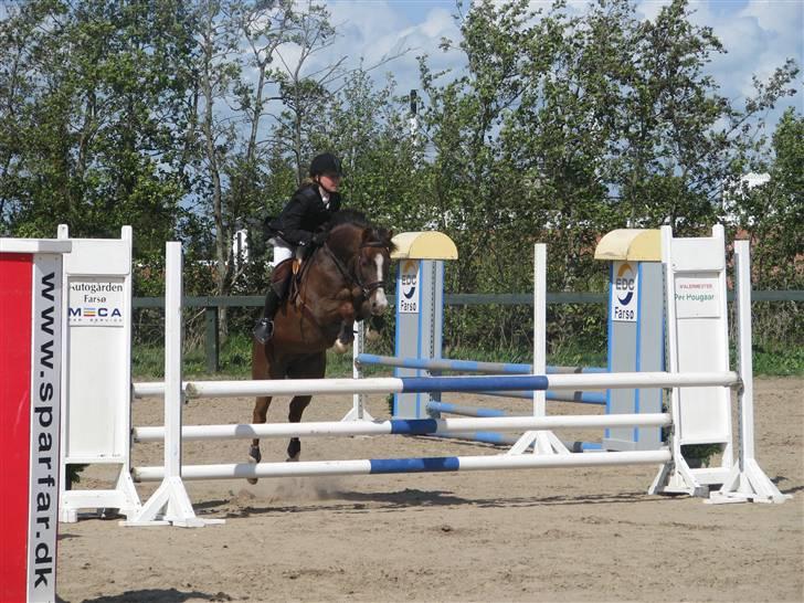 Hollandsk Sportspony Diamant B-pony - Farsø :D (Foto: Ulle) billede 12