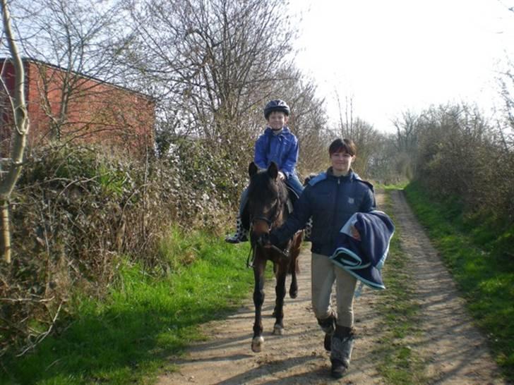 Anden særlig race Koh-i-noor SOLGT - Lillebror på tur. billede 8