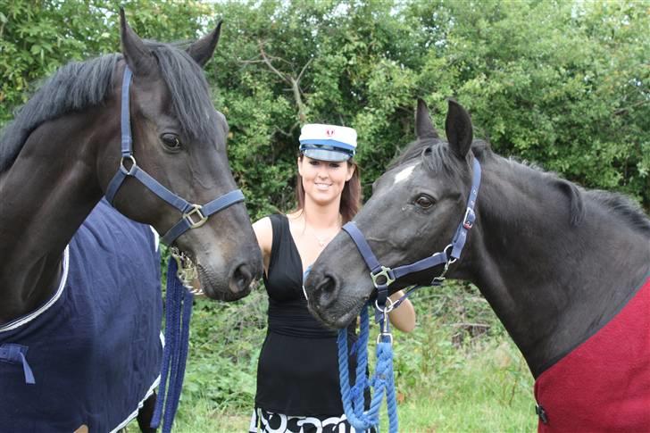 DSP | Black Joy |  - Mine to heste, Pamina og Black Joy, da jeg blev student billede 7