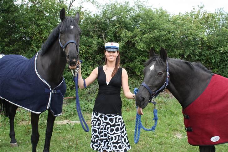 DSP | Black Joy |  - Mine to heste, Pamina og Black Joy, da jeg blev student billede 8