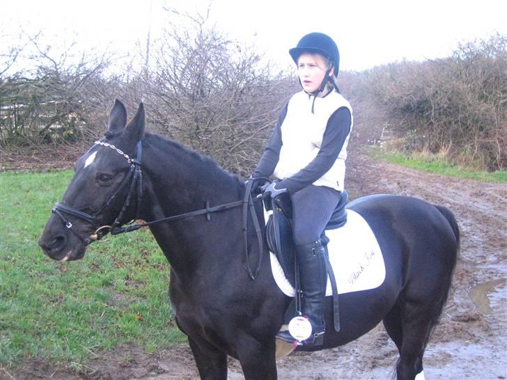 DSP | Black Joy |  - Smukke Joy til stv med Michelle billede 9