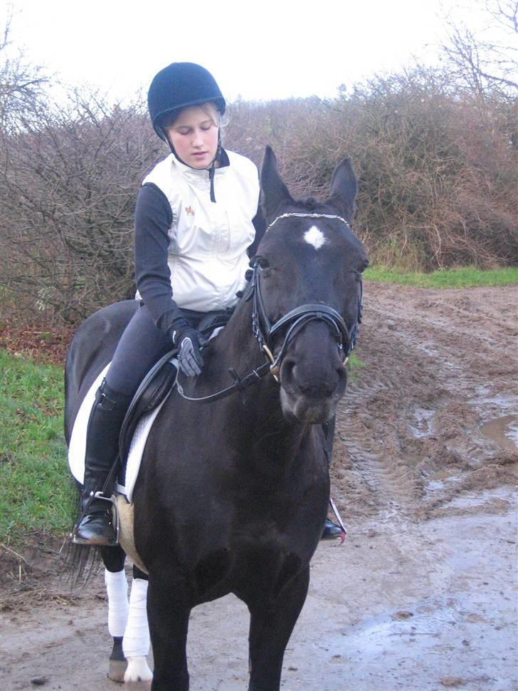 DSP | Black Joy |  - Til stævne igen med Michelle billede 11