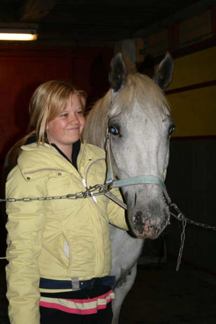 Knabstrupper Flying Ghost 'Solgt' :'( - Vi hygger :D <3  billede 14