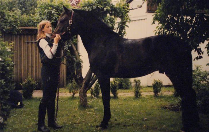 Traver Vanu Lillevang R.I.P. - Vanu i min fars have :) billede 1