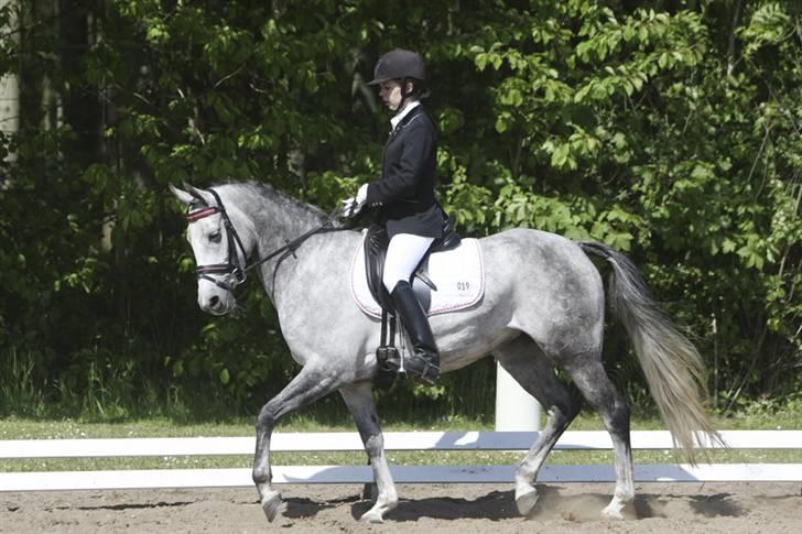 DSP Fun Time *SOLGT* billede 14