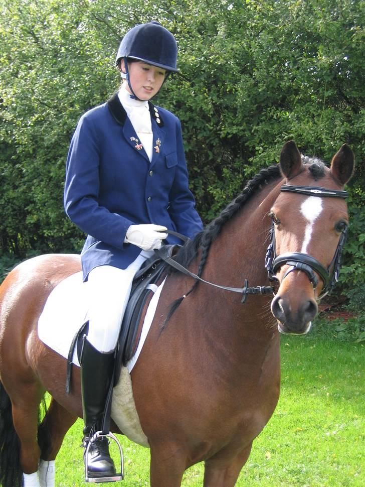 Welsh Pony (sec B) | Bjerregaards Samson | - Samson og jeg efter stævnedeltagelse billede 1