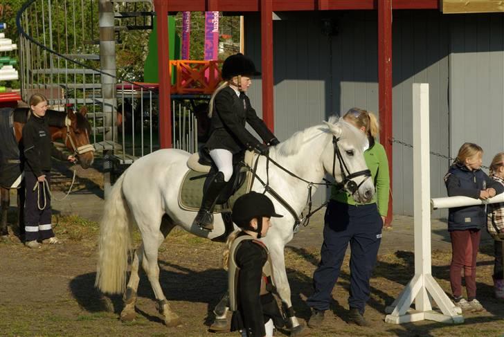 Anden særlig race Speedy Gonzales SOLGT! - så er vi ved at være klar billede 4