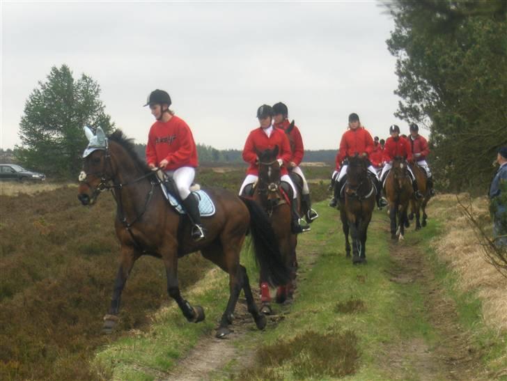Anden særlig race bravour:) solgt og SAVNET billede 10