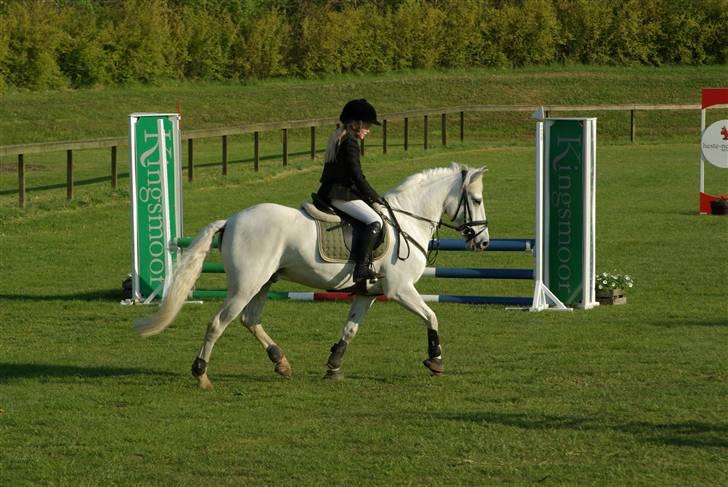 Anden særlig race Speedy Gonzales SOLGT! - ihh han går fint billede 6