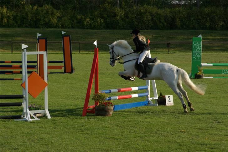 Anden særlig race Speedy Gonzales SOLGT! - hopsa hopsa billede 7