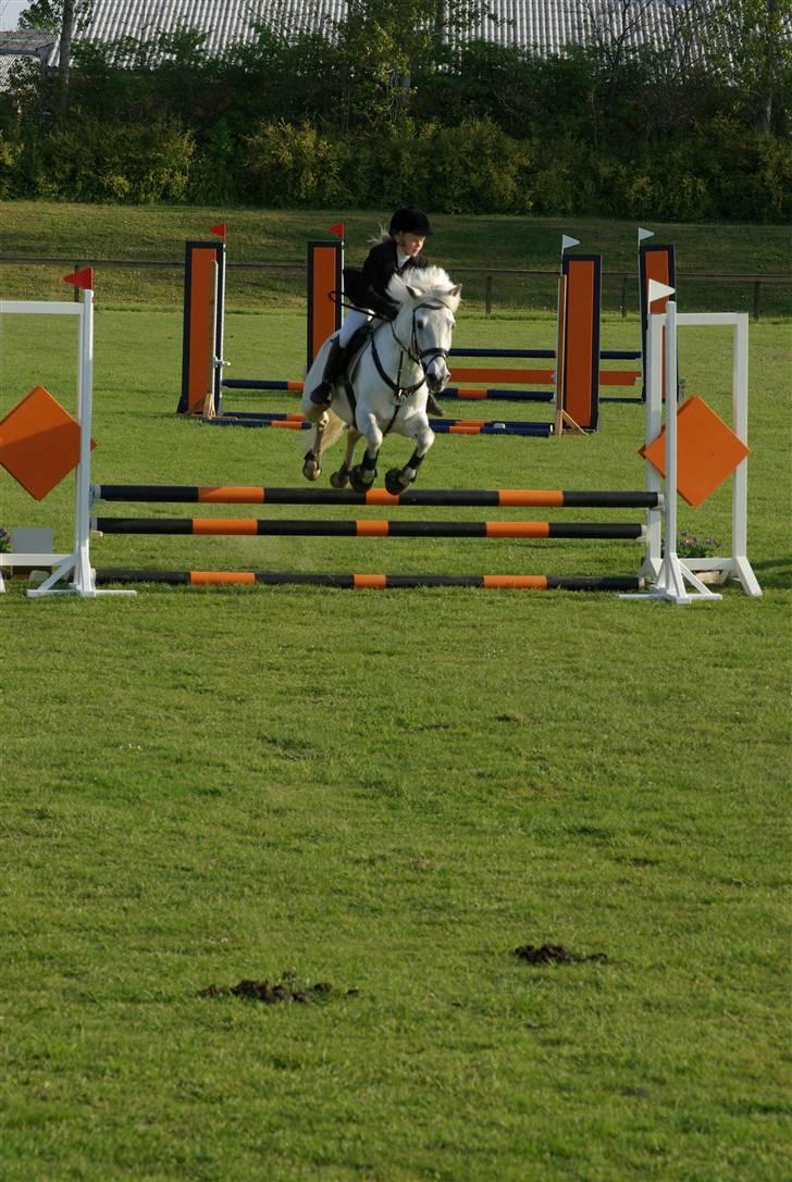 Anden særlig race Speedy Gonzales SOLGT! - super godt spring billede 8