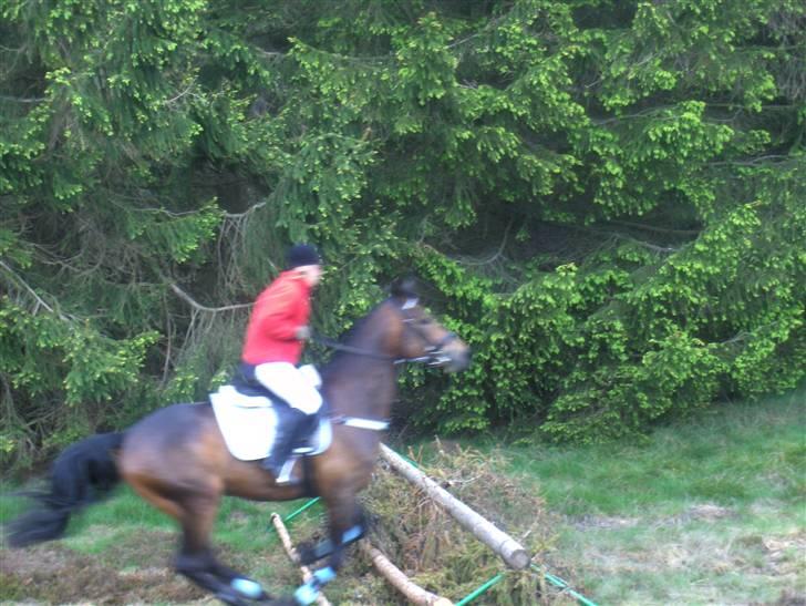 Anden særlig race bravour:) solgt og SAVNET billede 11