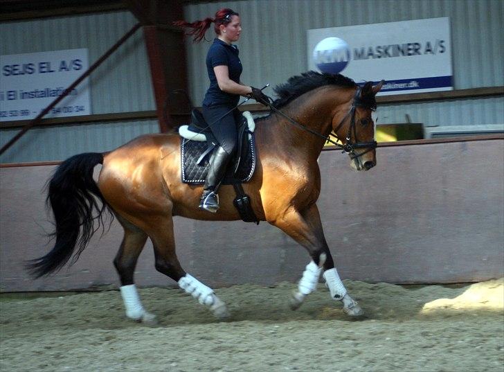 Dansk Varmblod FIGTHER - Træninq d.22-4-2011 billede 8