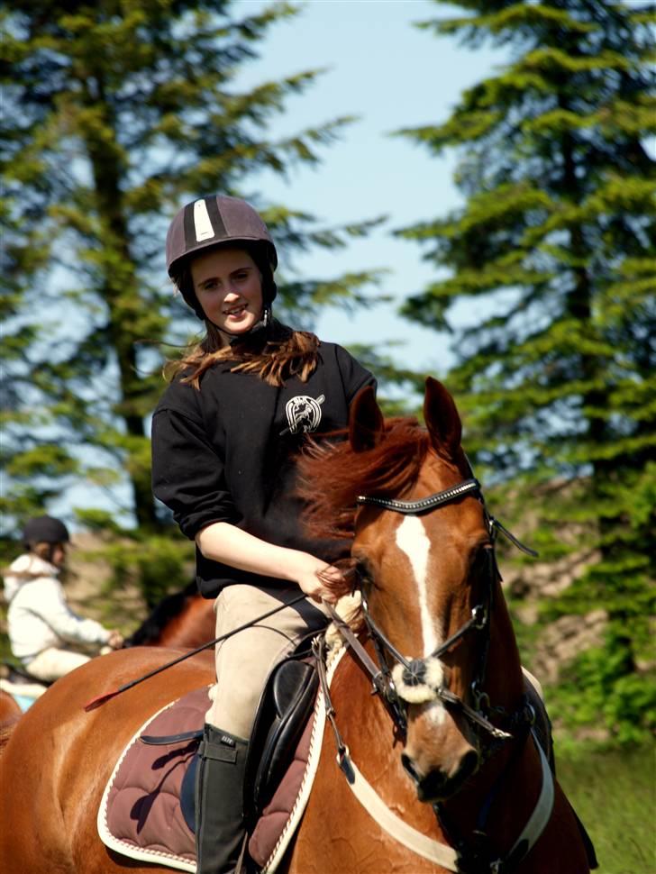Anden særlig race Magic lady (maggie)passer - velkommen til maggie´s profil  billede 1