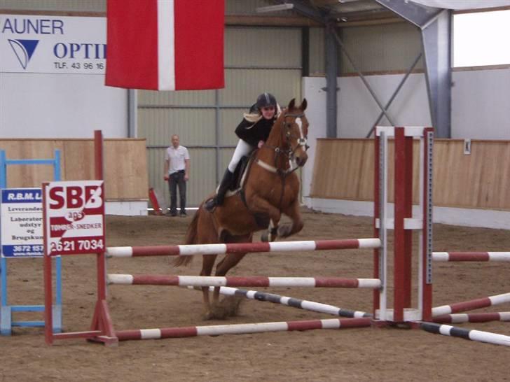 Anden særlig race Magic lady (maggie)passer billede 3