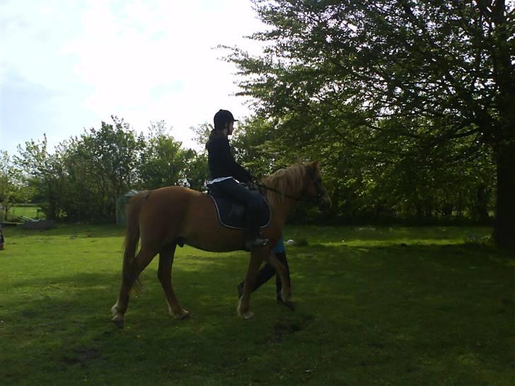 Anden særlig race DJ - SOLGT - | Da jeg prøvede ham.. :D billede 5